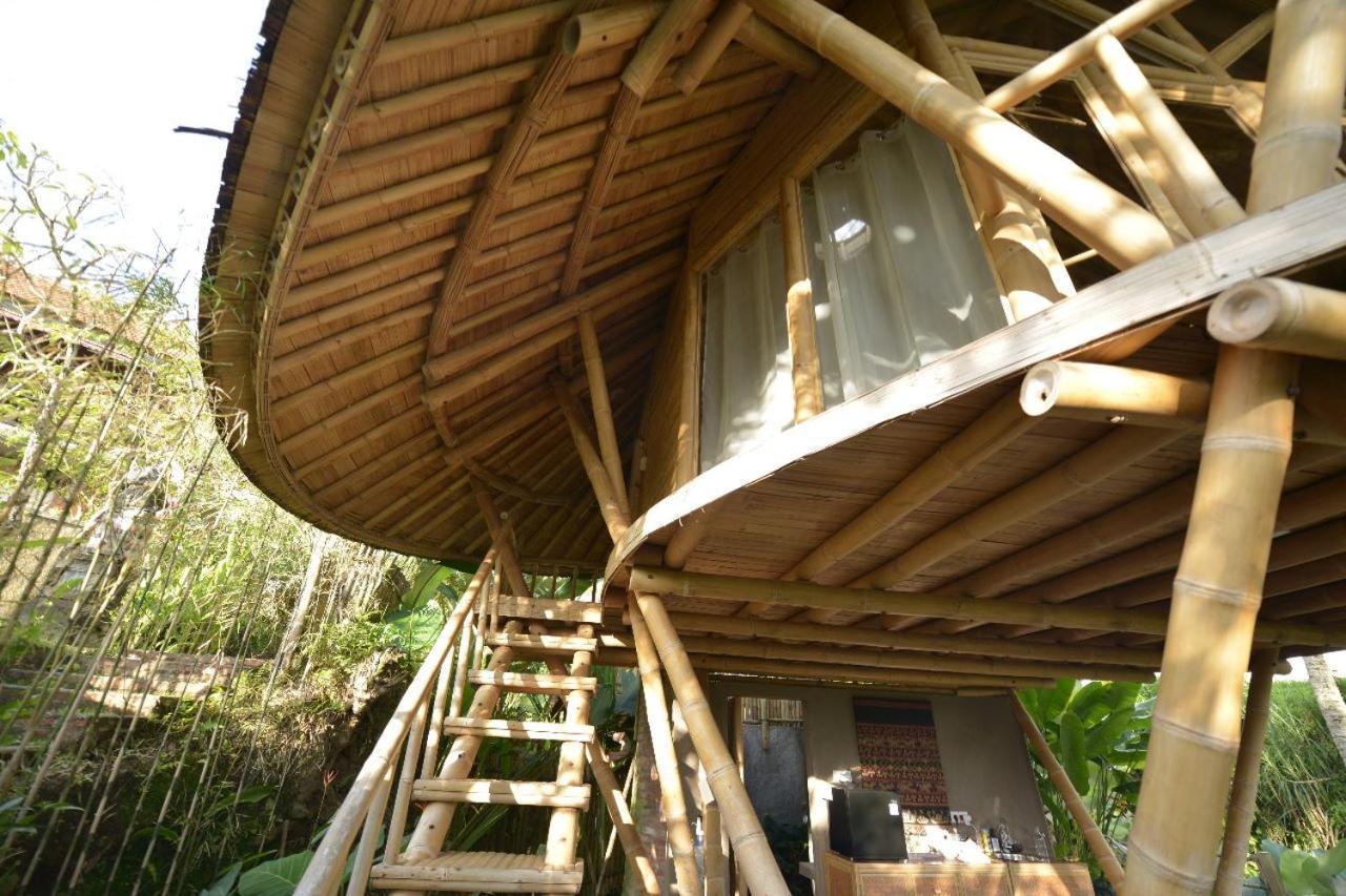 Villa Jero Tumbuk Private Selat