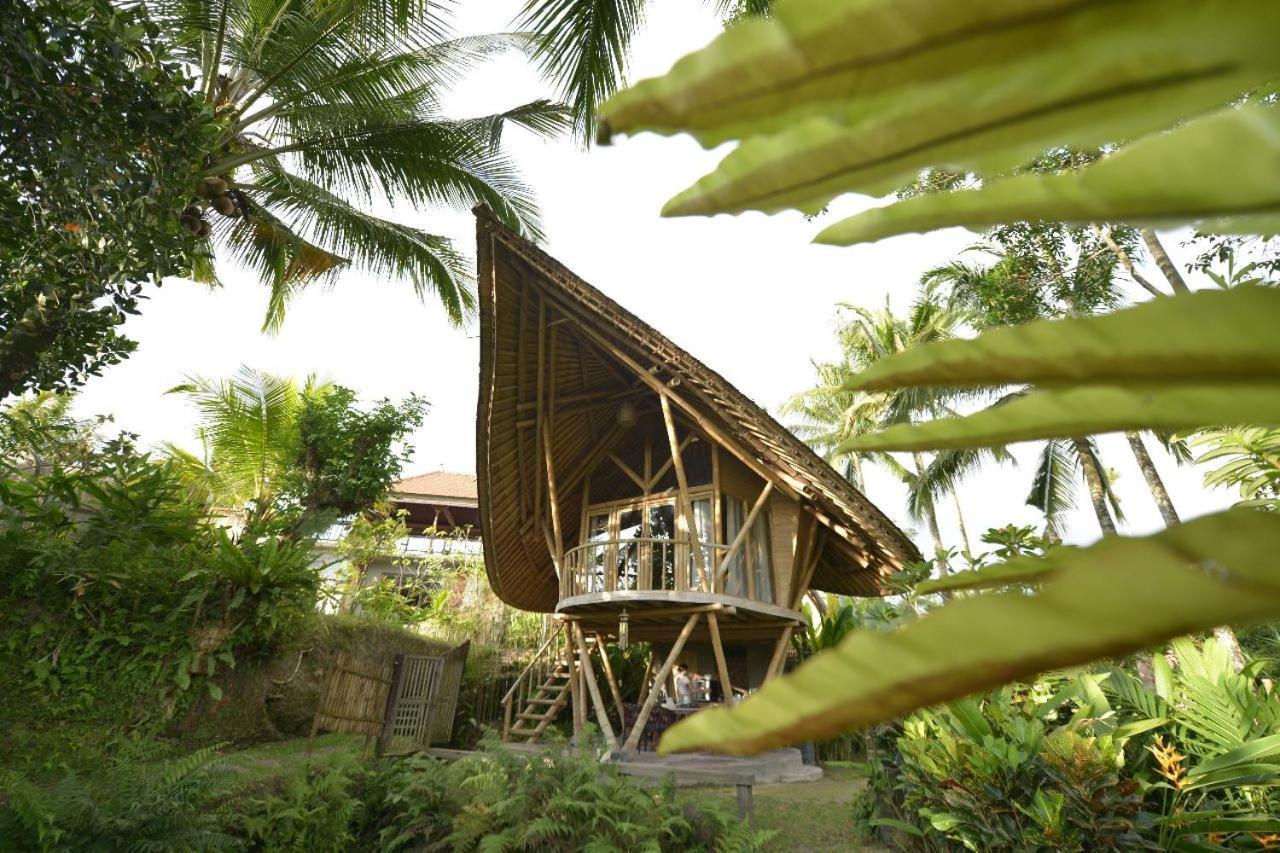 Villa Jero Tumbuk Private Selat