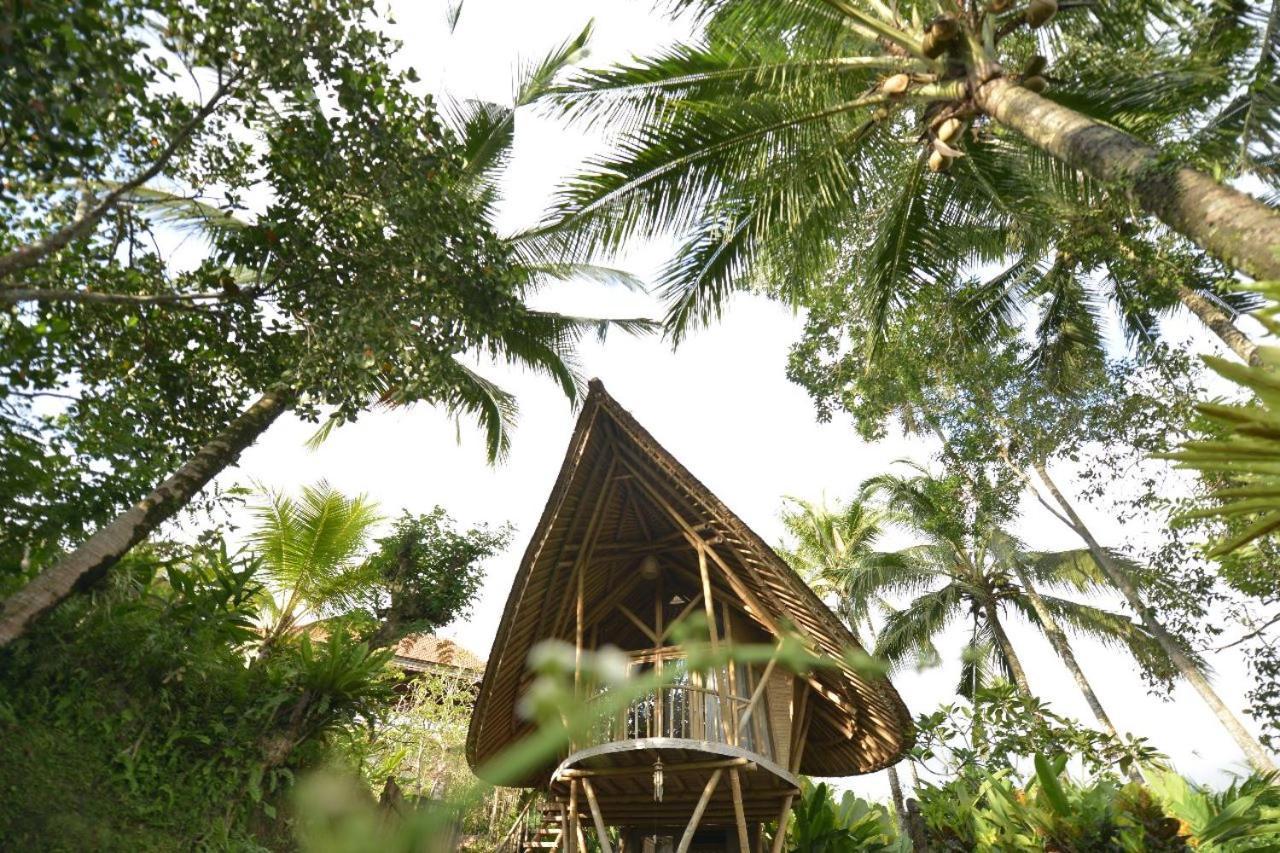 Villa Jero Tumbuk Private *