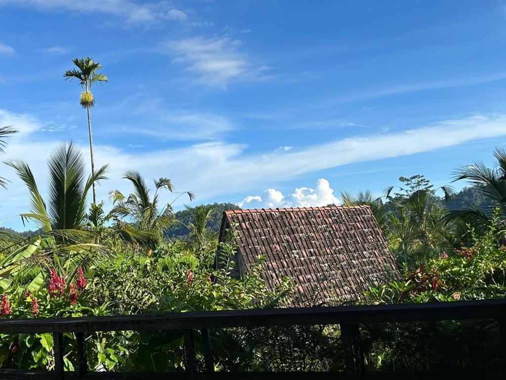 Jero Tumbuk Private Villa