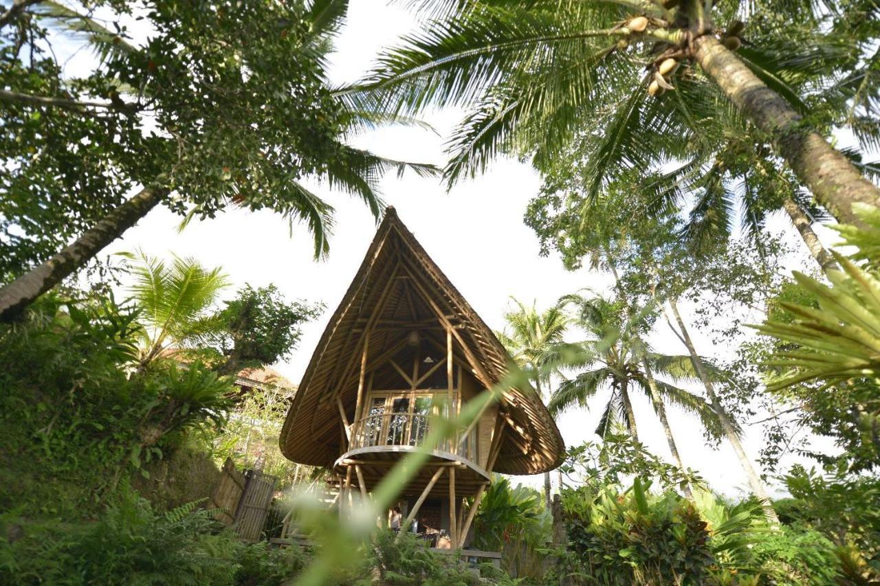 Villa Jero Tumbuk Private Selat