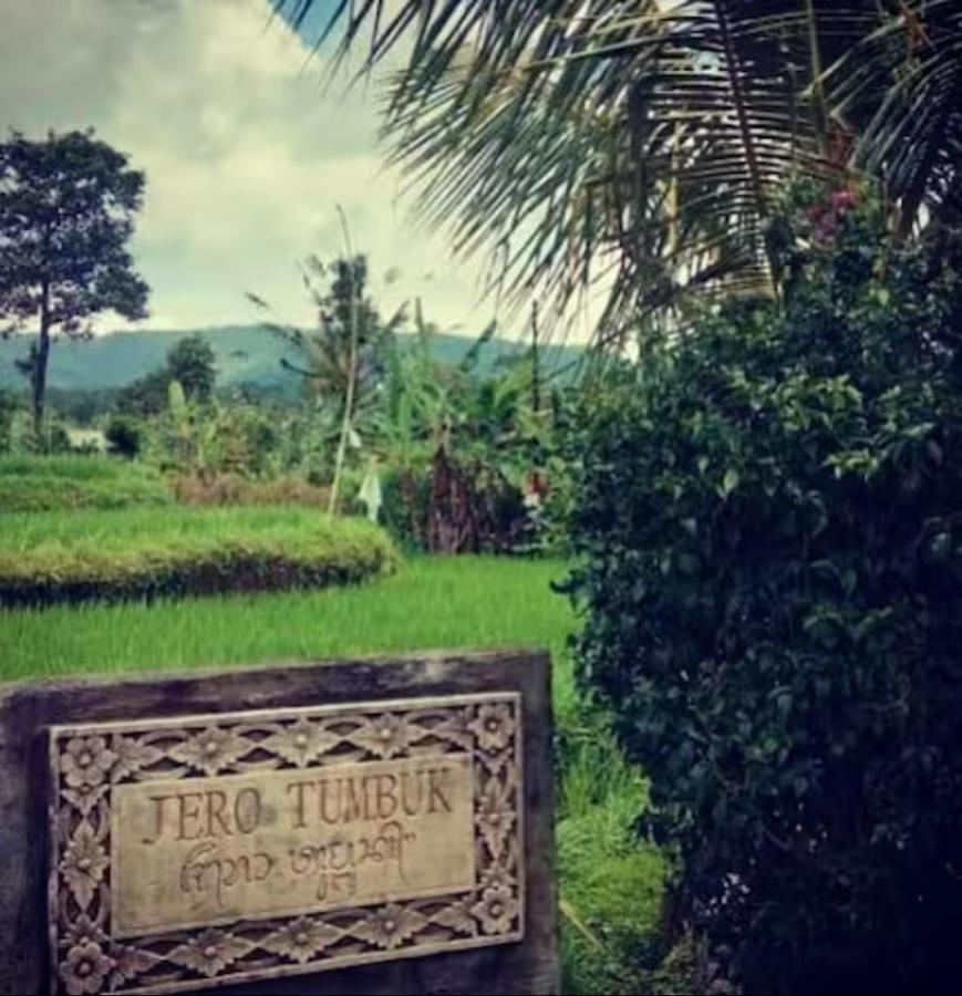 Villa Jero Tumbuk Private *