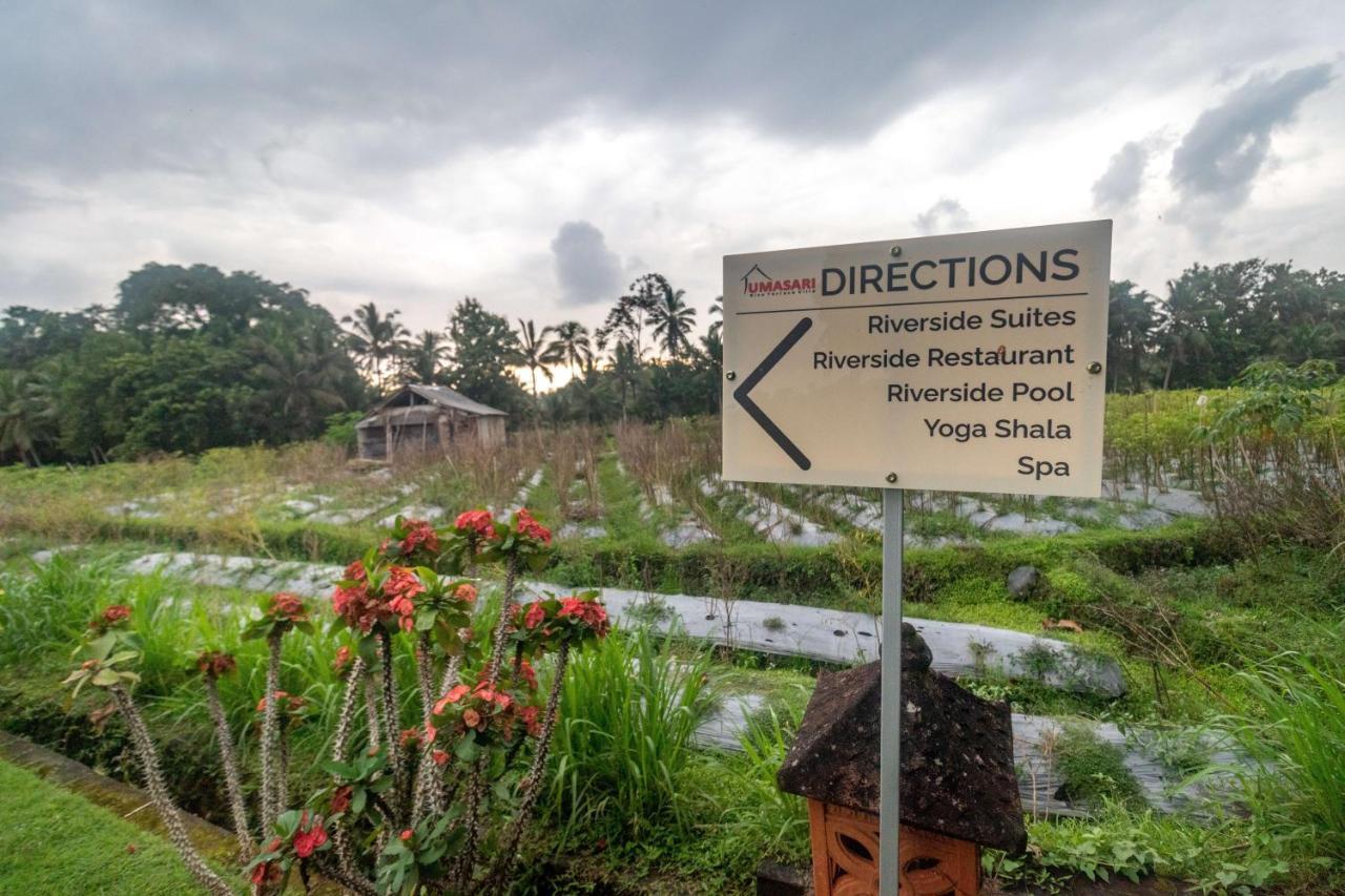 Umasari Rice Terrace By Agata Tabanan (Bali)