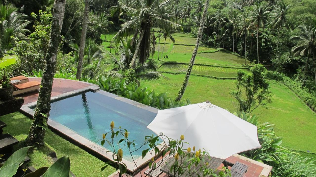 The Papas * Tegallalang (Bali)