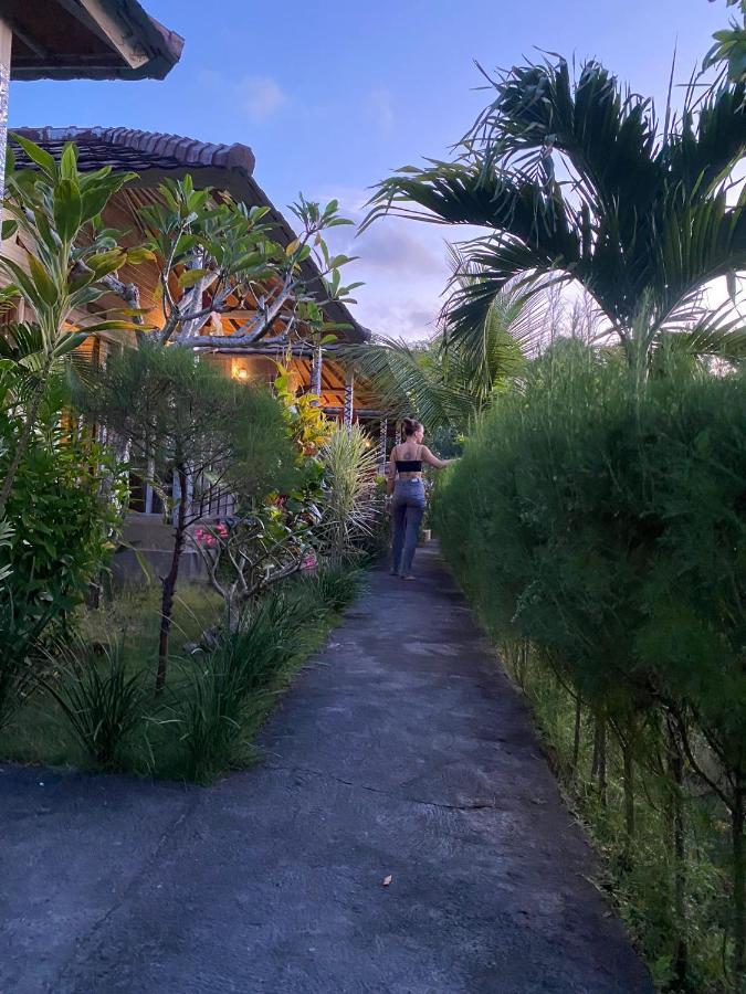 The Pancor Jungle *