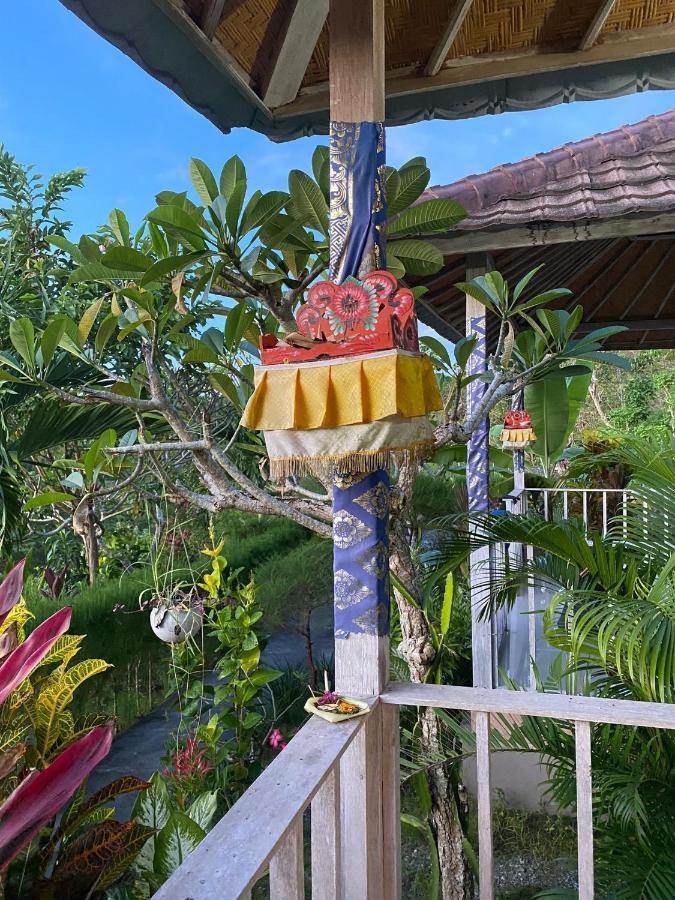 Resort The Pancor Jungle