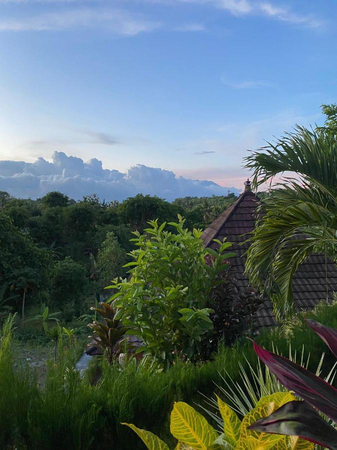 Resort The Pancor Jungle