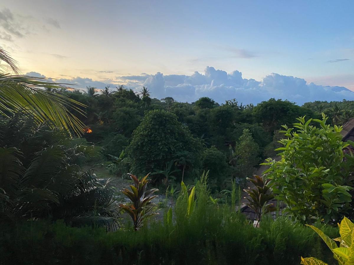 The Pancor Jungle Resort