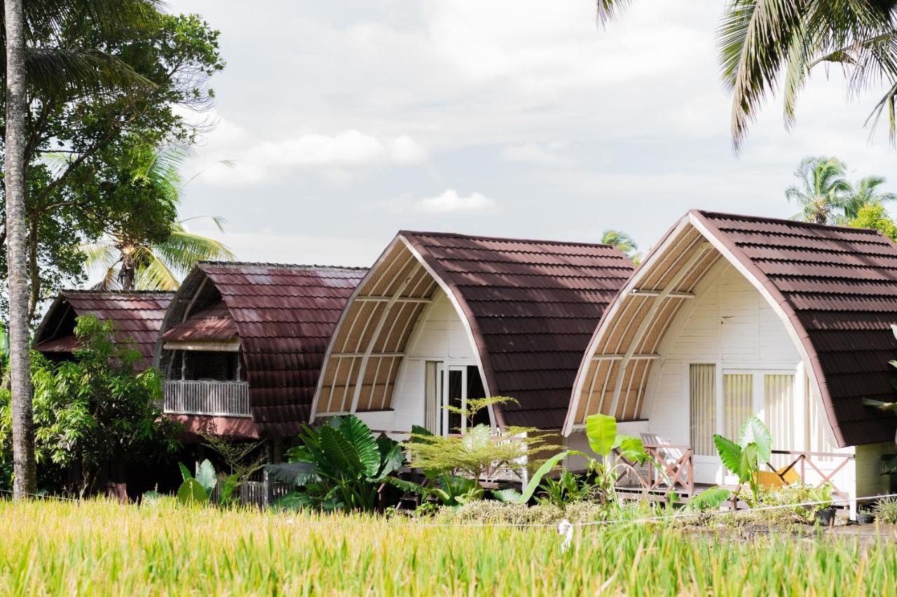 Damuh Pertivi, River And Rice Fields View Homestay *
