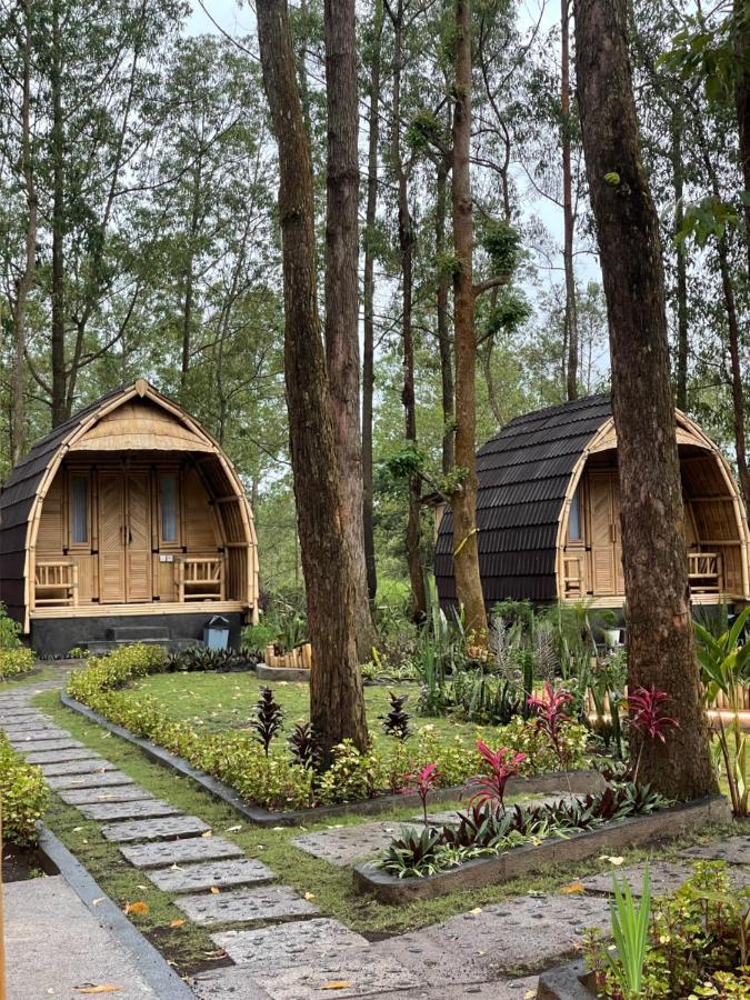 Bamboo Austin Mountbatur Lodge *