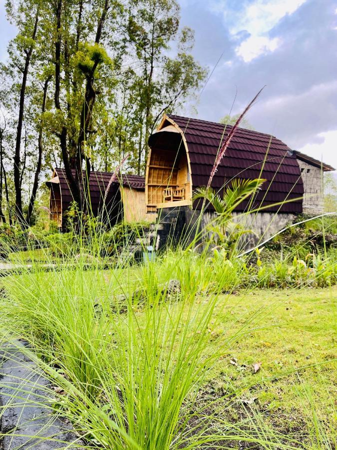 Bamboo Austin Mountbatur *