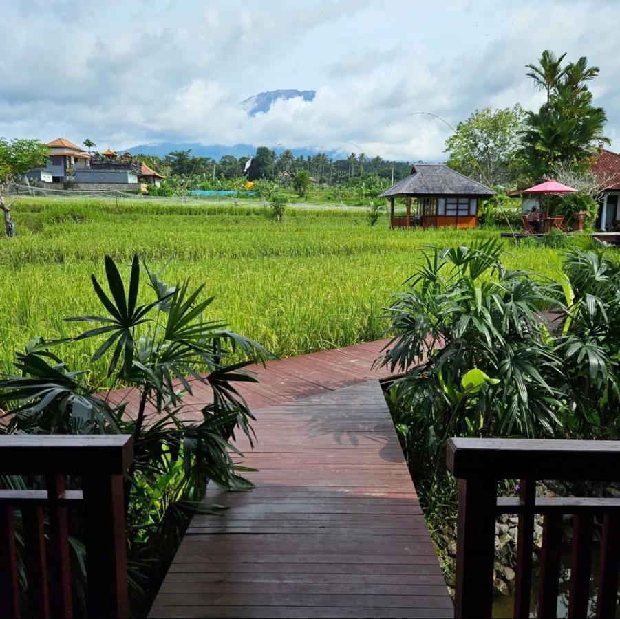 Cabe Bali Jasri