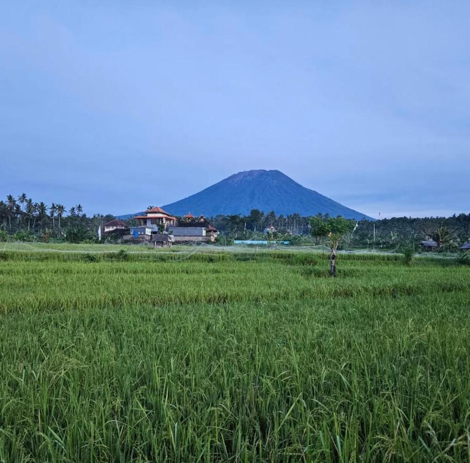Cabe Bali Guest house Jasri