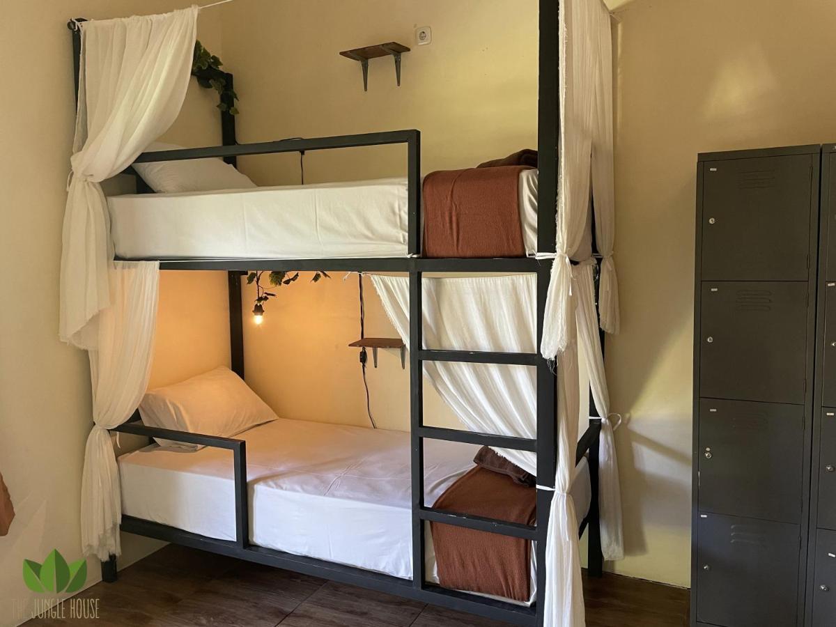 The Jungle House Hostel *