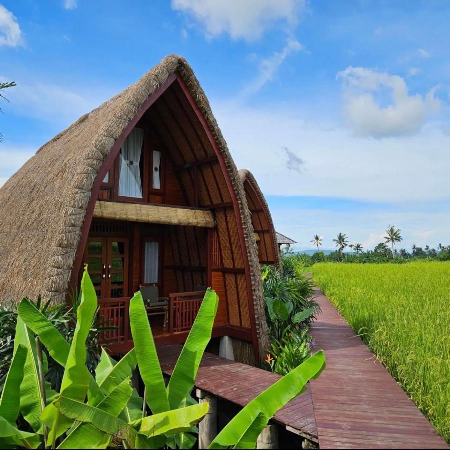 Cabe Bali Guest house