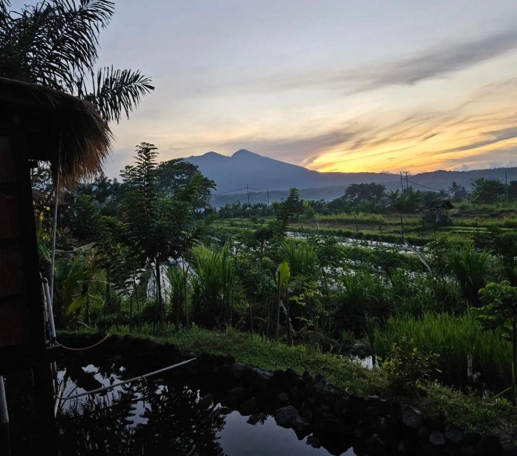 Cabe Bali Guest house