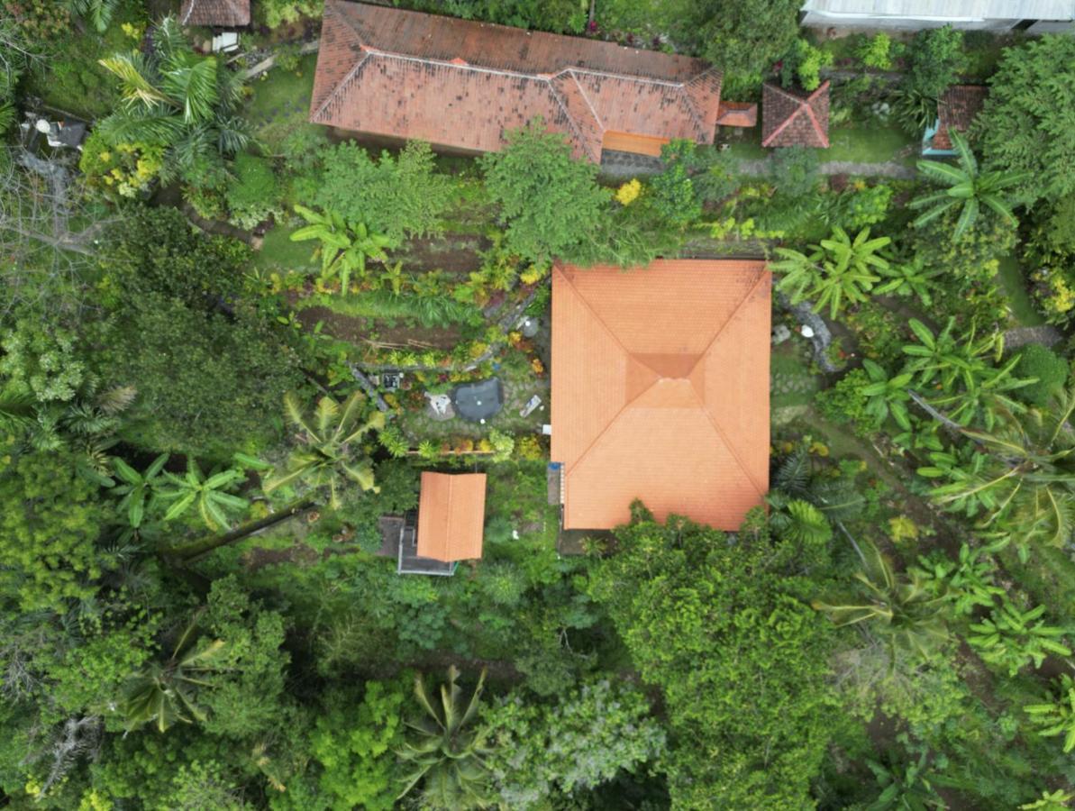 Holiday home Kepuh Singaraja (Bali)