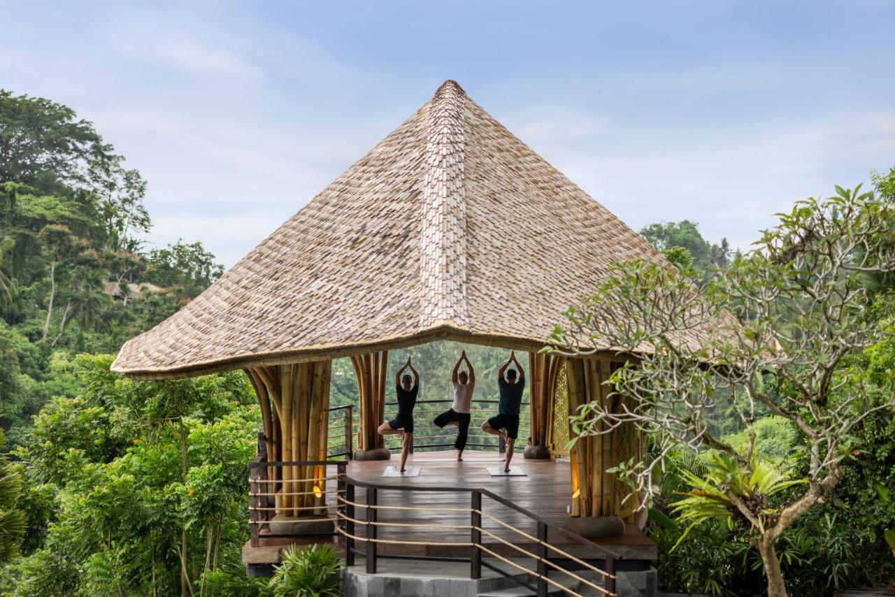The Kayon Valley Ubud (Bali)
