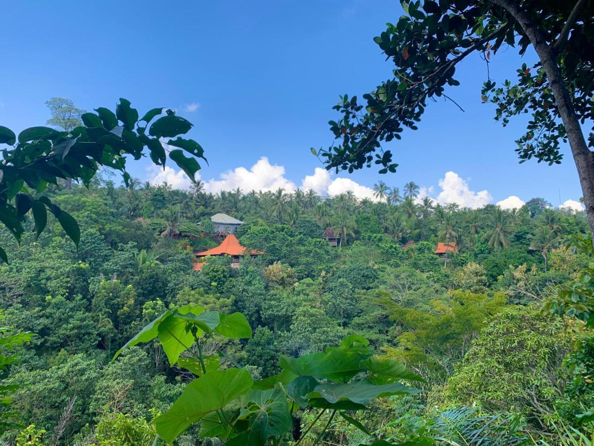 Kepuh Holiday home Singaraja (Bali)