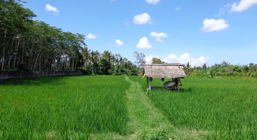 Angel House Ubud Eco Villa Guest house 3*