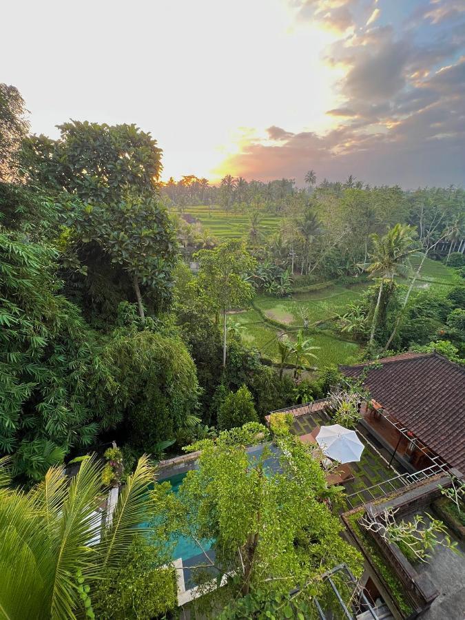 Nata Hotel 3*