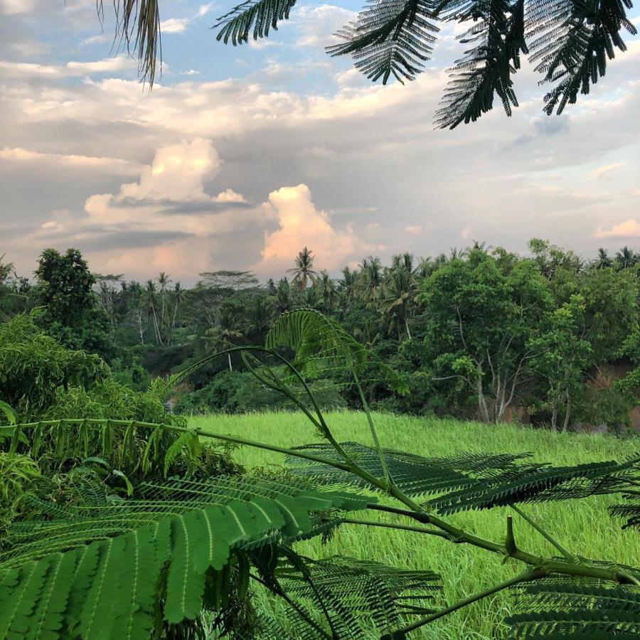 Sua Bali Lodge