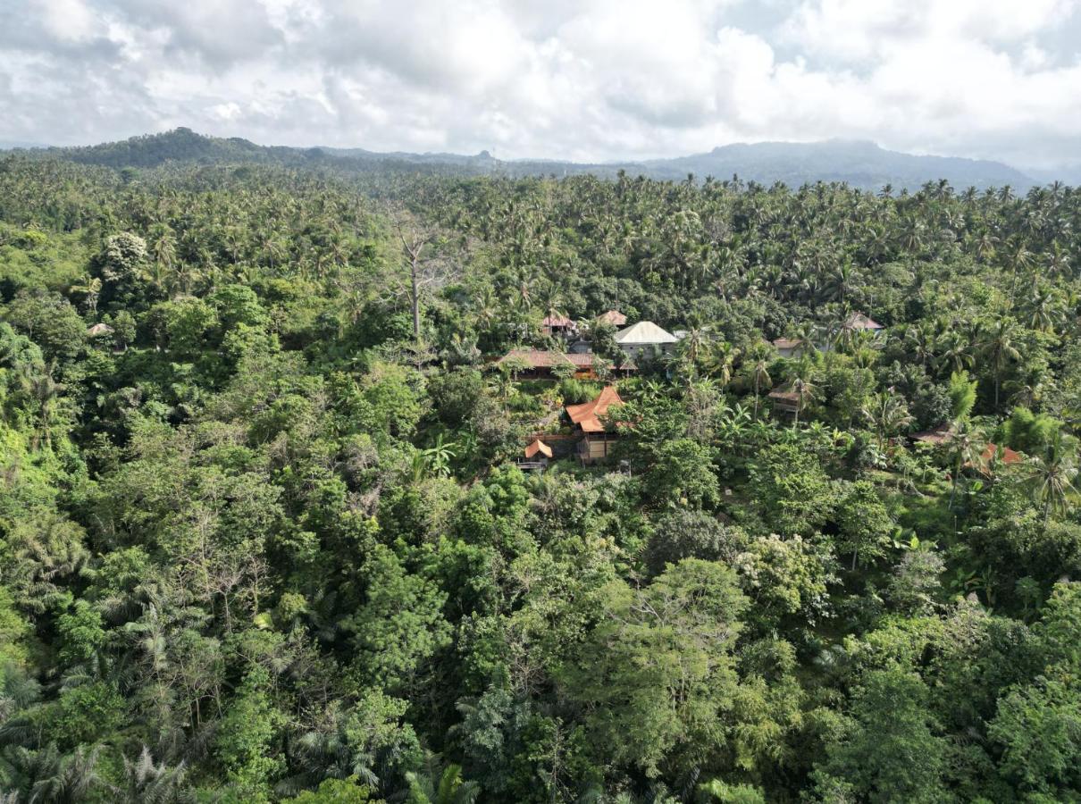 Holiday home Kepuh Singaraja (Bali)
