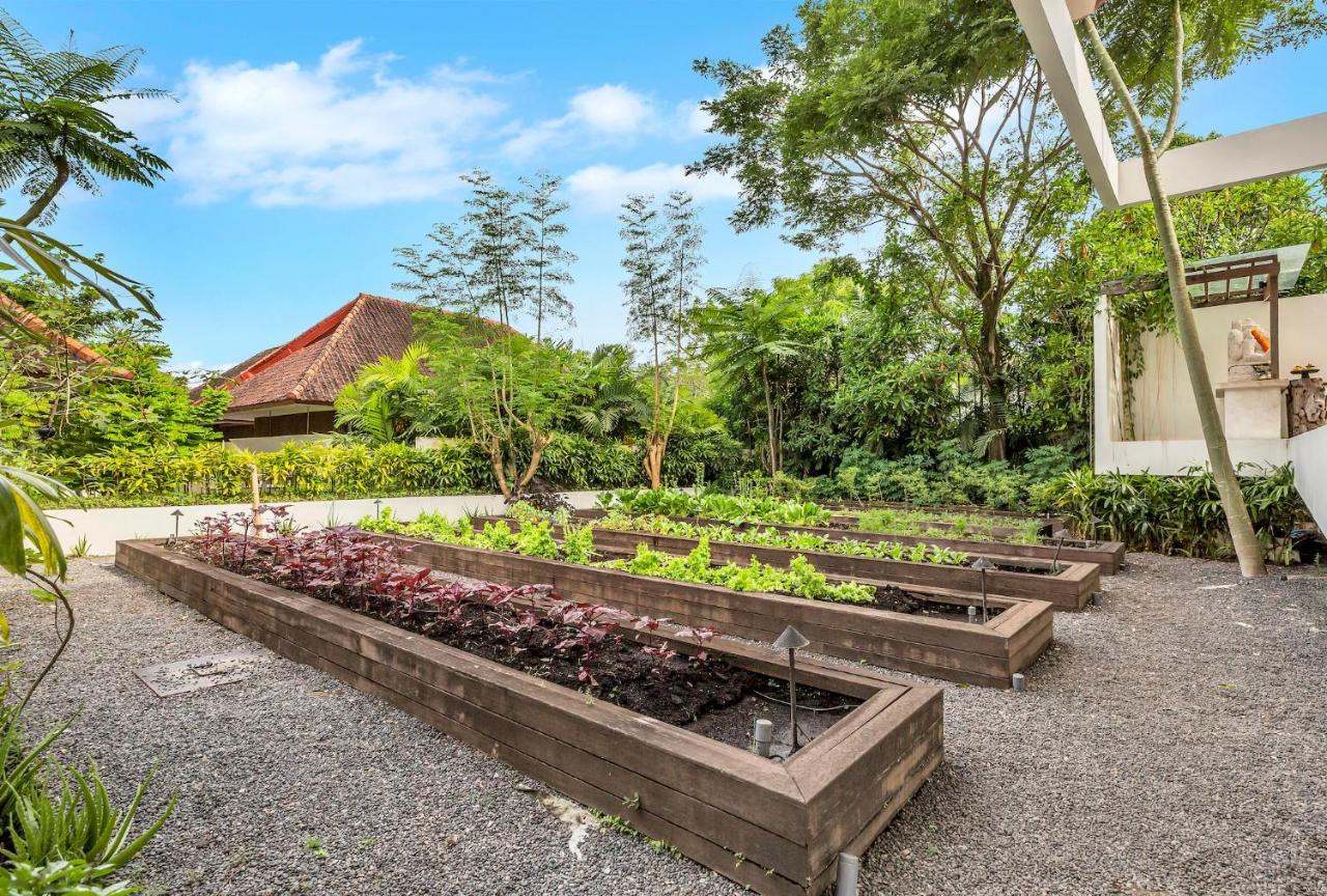 Resort Bisma Eight Ubud (Bali)