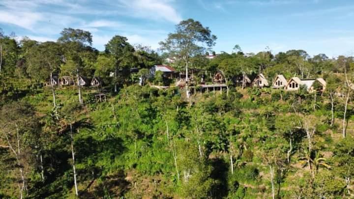 Lodge Wanagiri Gitgit