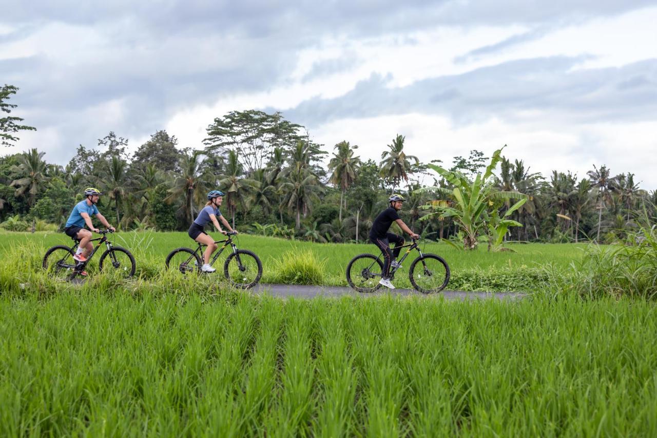 The Kayon Valley * Ubud (Bali)