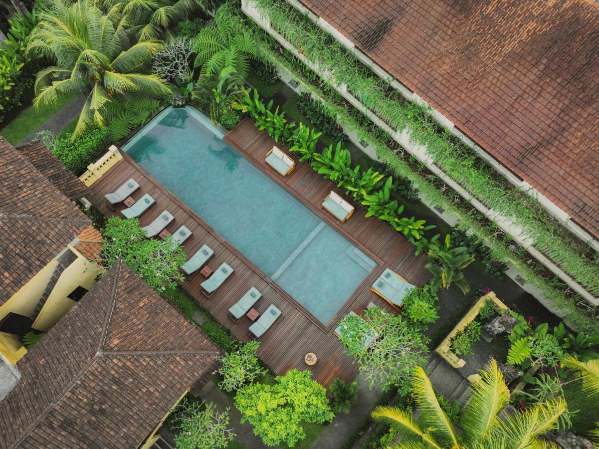 Guest house Jati