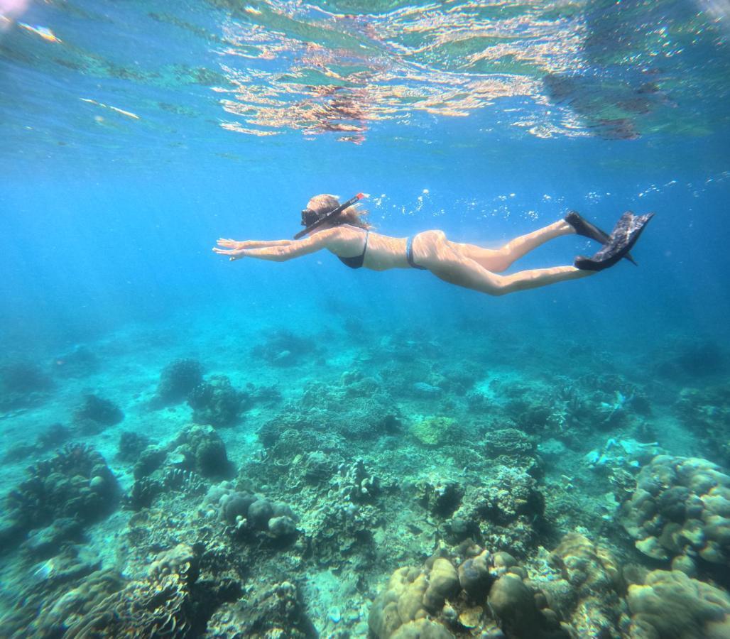 Diver's Cafe 2* Amed (Bali)