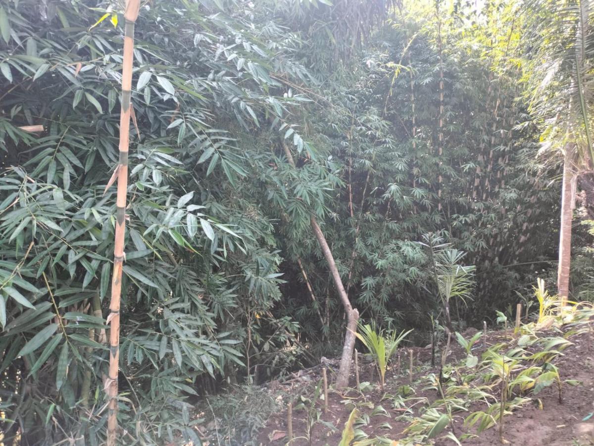 Baruna Sari