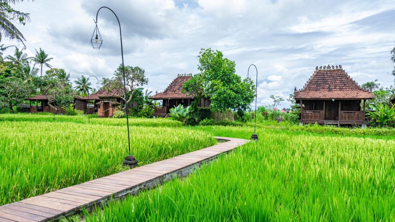 Kajane Yangloni At Bali Holiday park 4*
