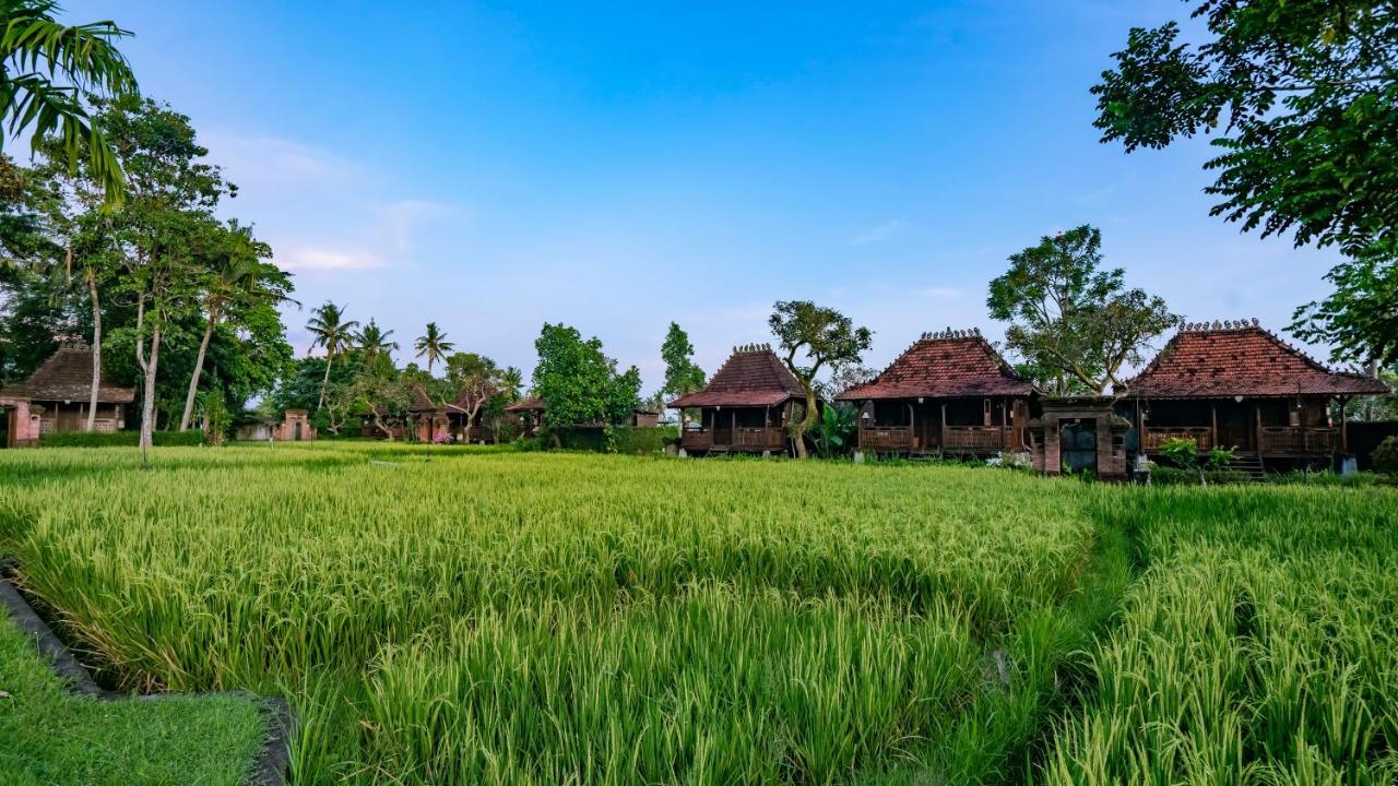 Kajane Yangloni At Bali Ubud (Bali)