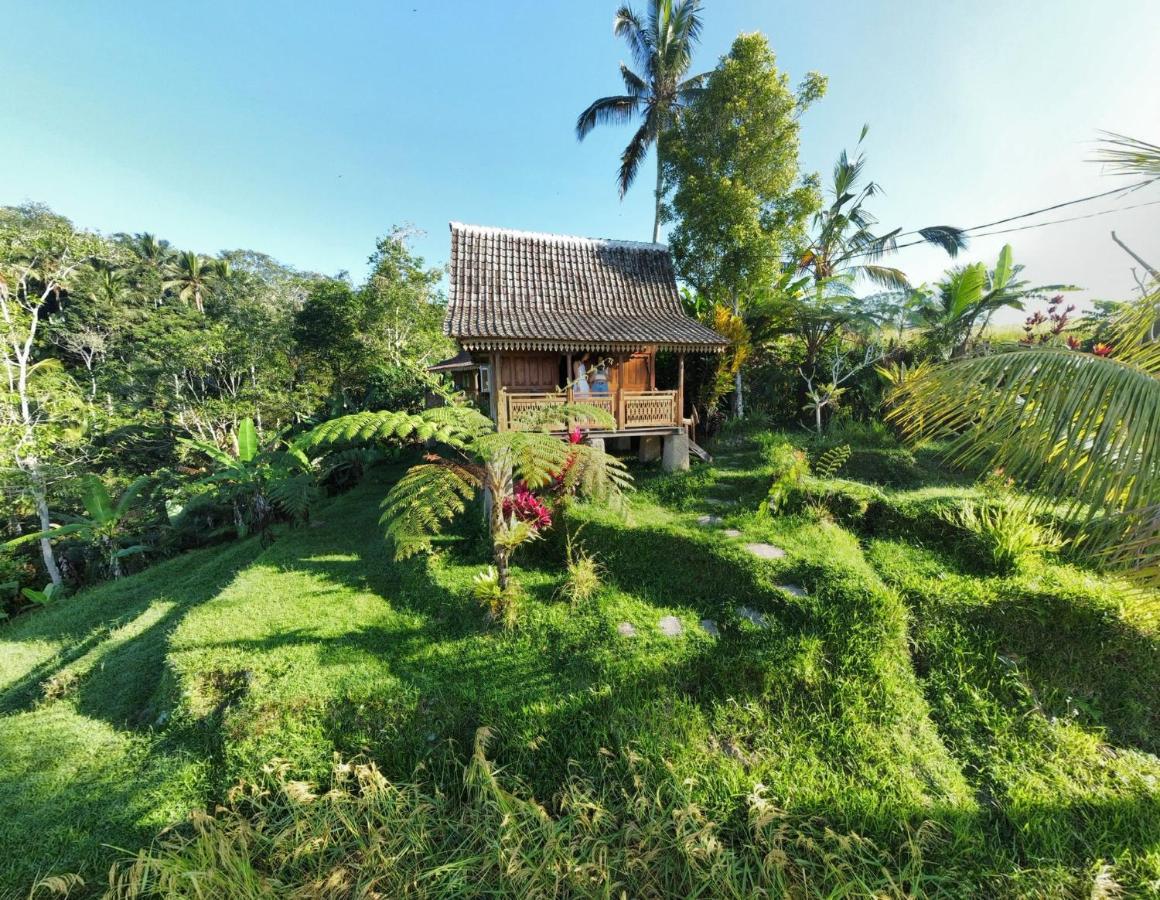 Homestay D'ume Bendoel Jatiluwih
