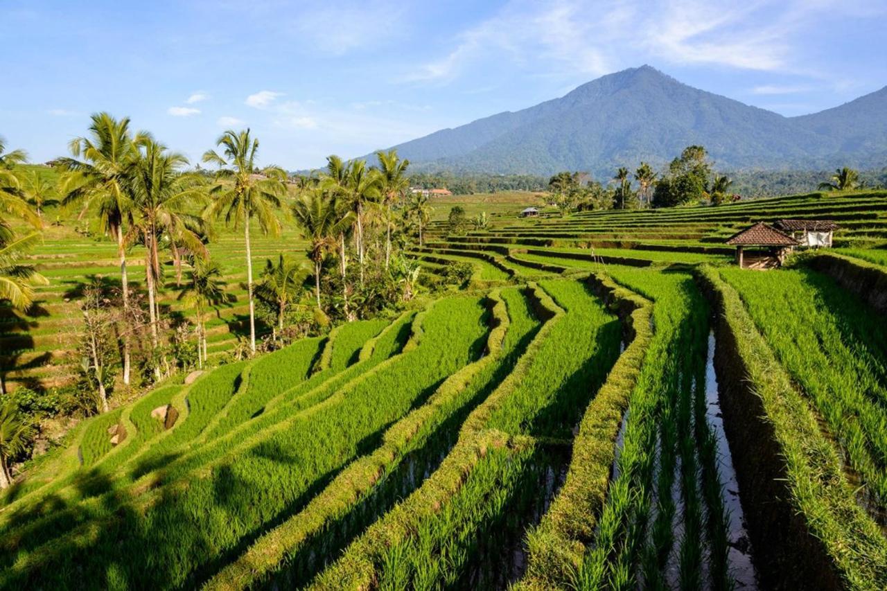 Villa Kts - Kubu Tepi Sawah