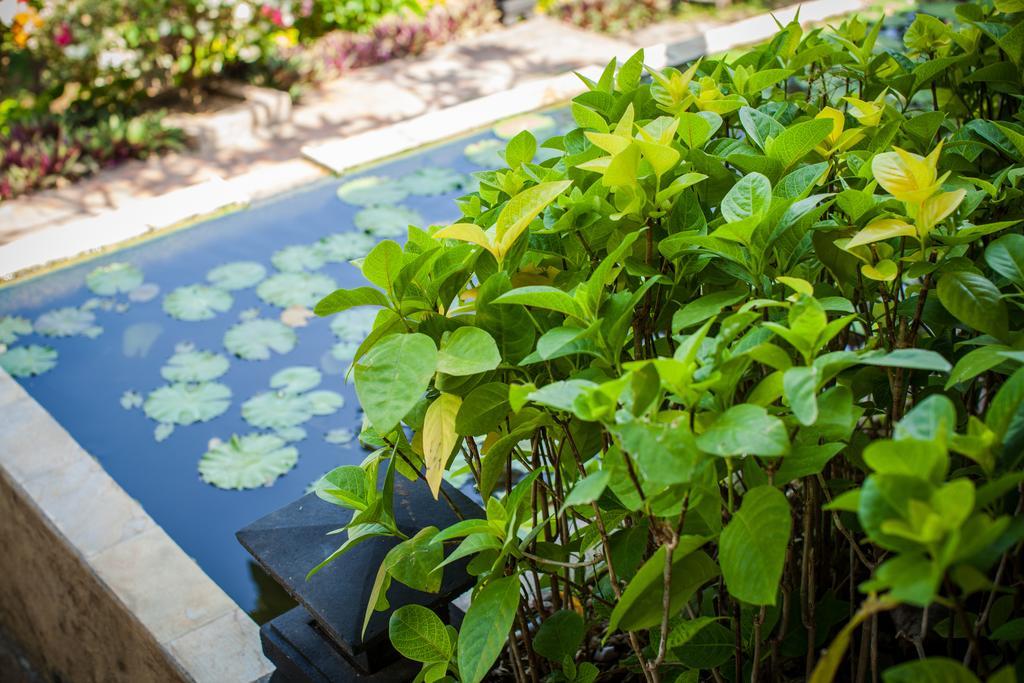 Zen Bali Villa
