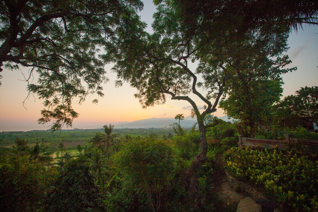 Zen Bali