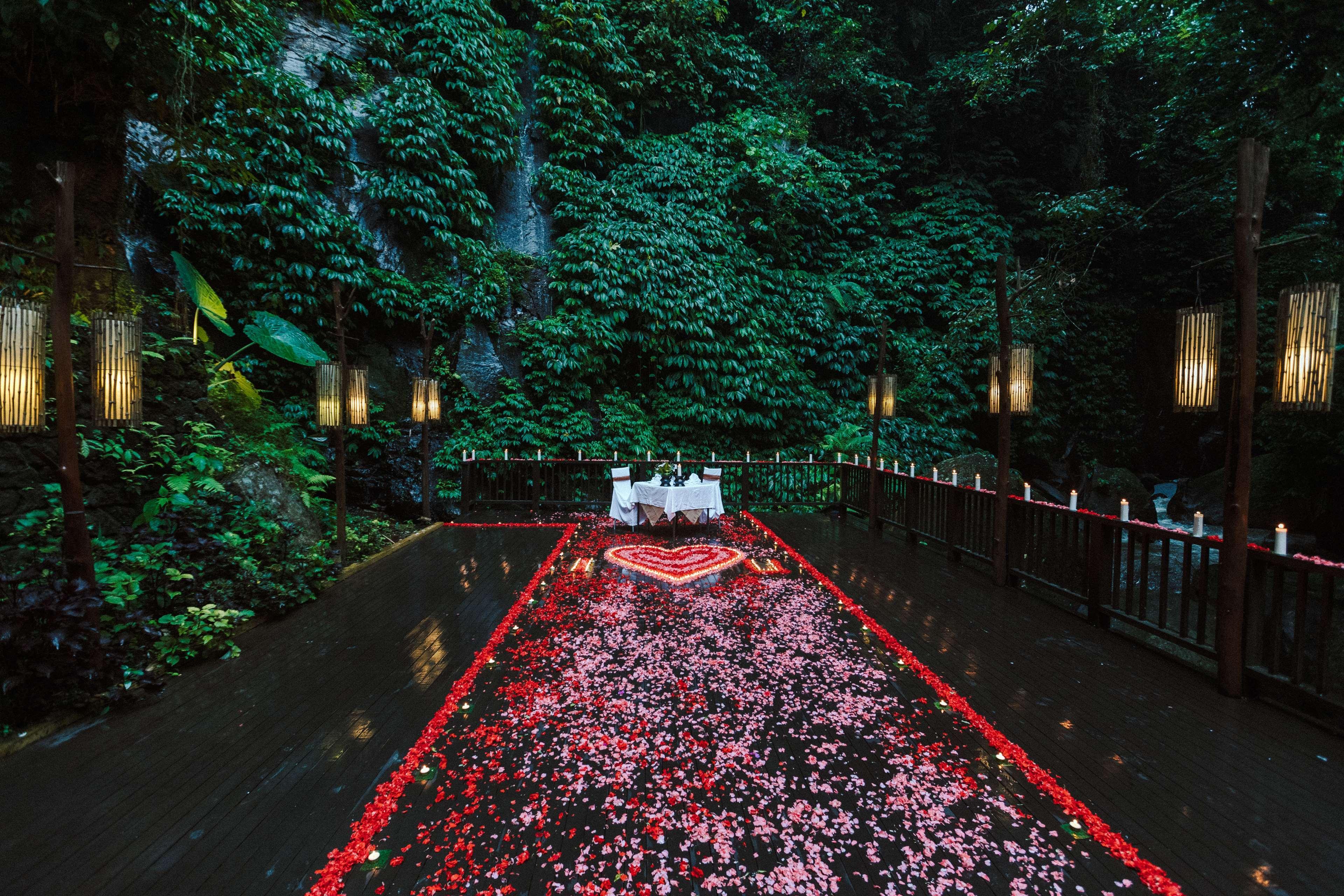 Nandini Jungle By Hanging Gardens 5*