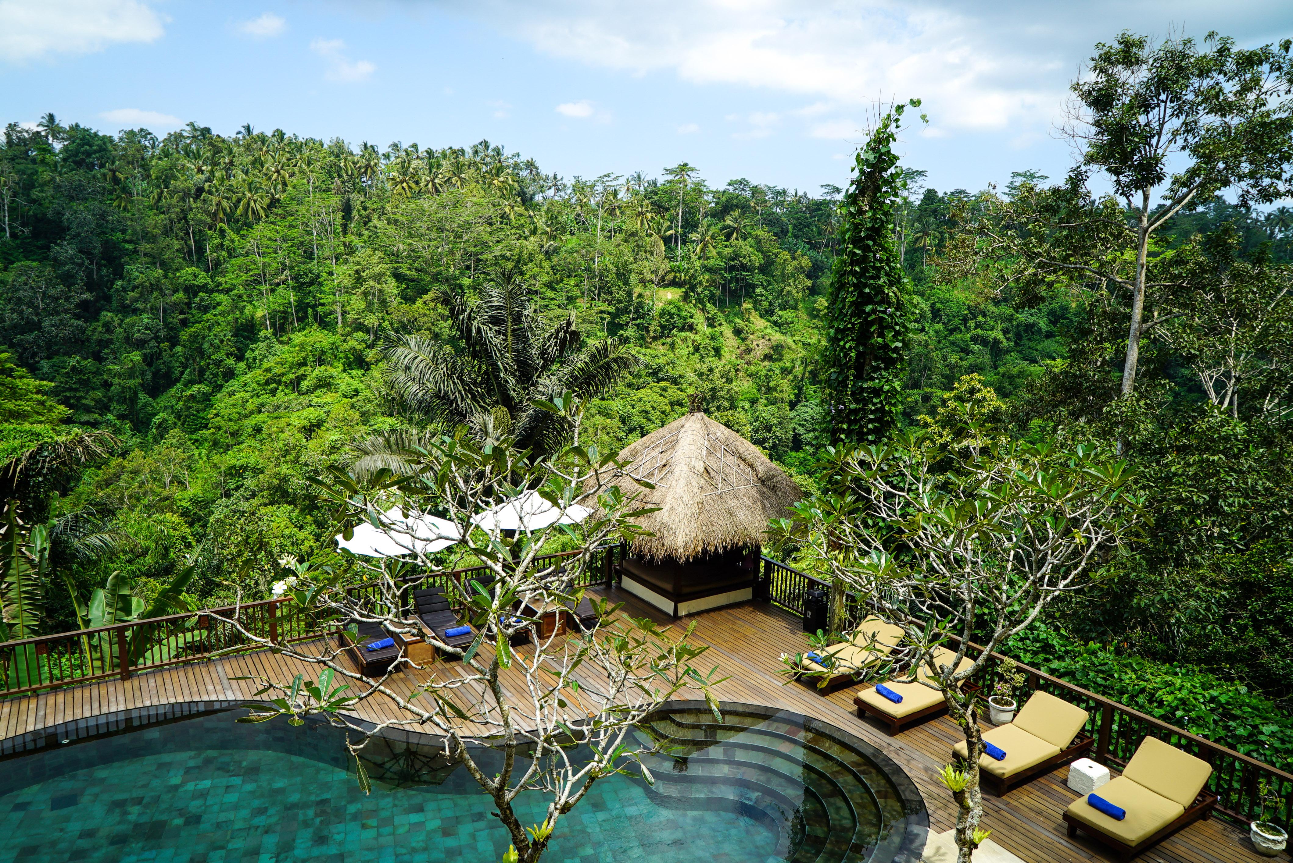 Nandini Jungle By Hanging Gardens