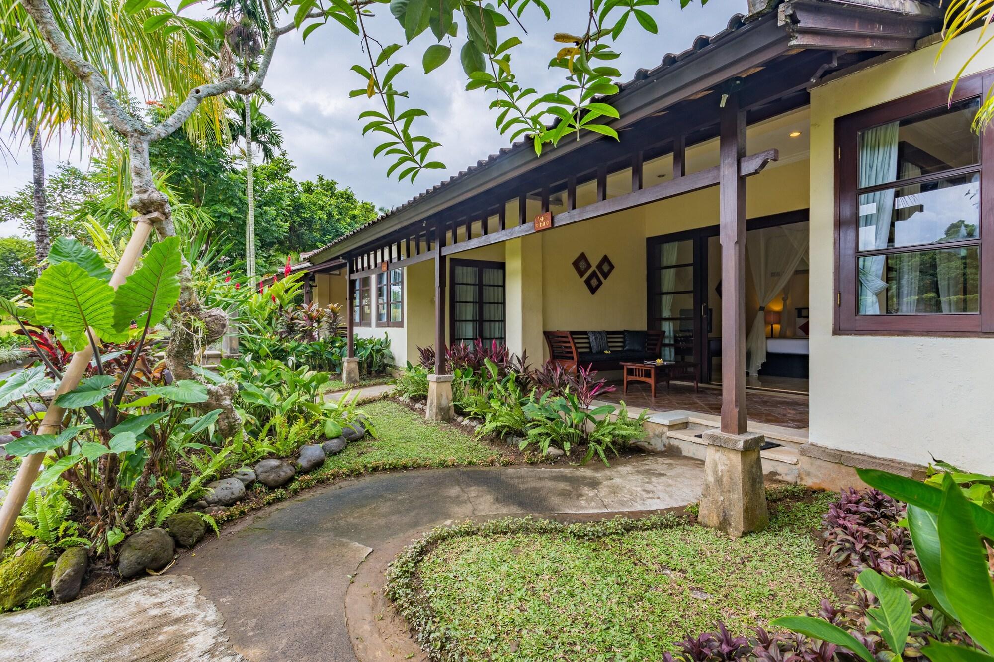 Resort Anini Raka & 4*