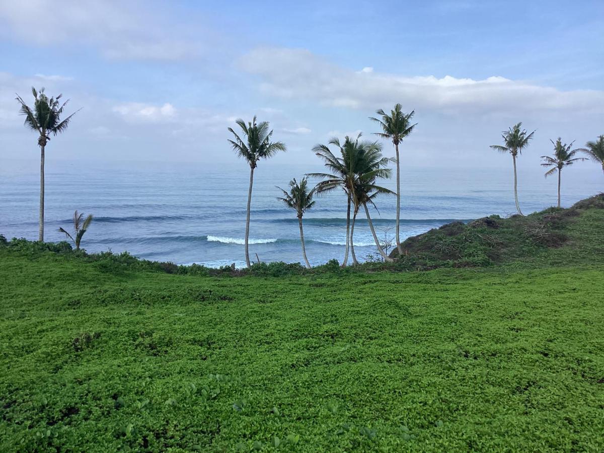 Seaview Surf *
