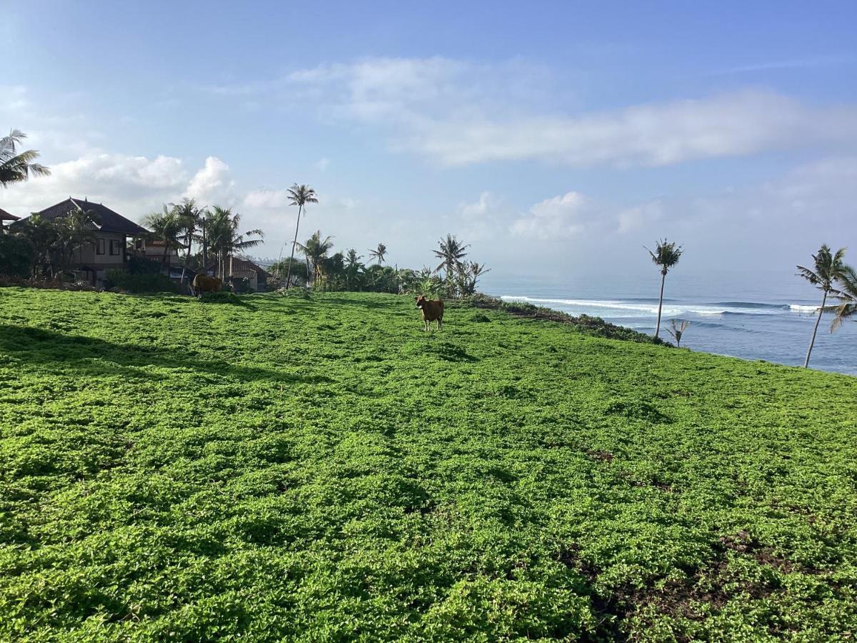 Seaview Surf