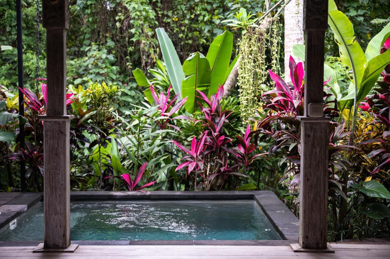 Wu Wei - Luxurious Boutique Sanctuary *
