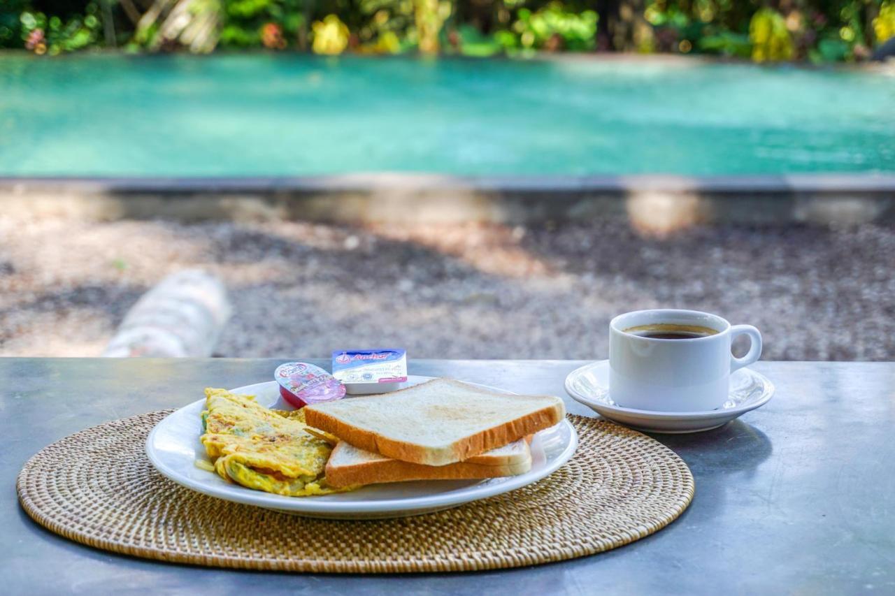 Daydream Resort