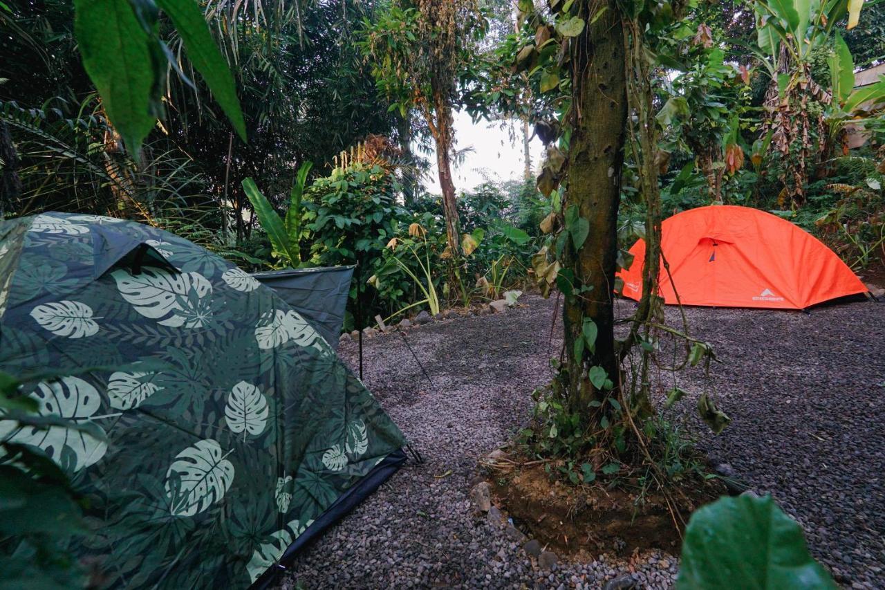 Resort Daydream Tampaksiring
