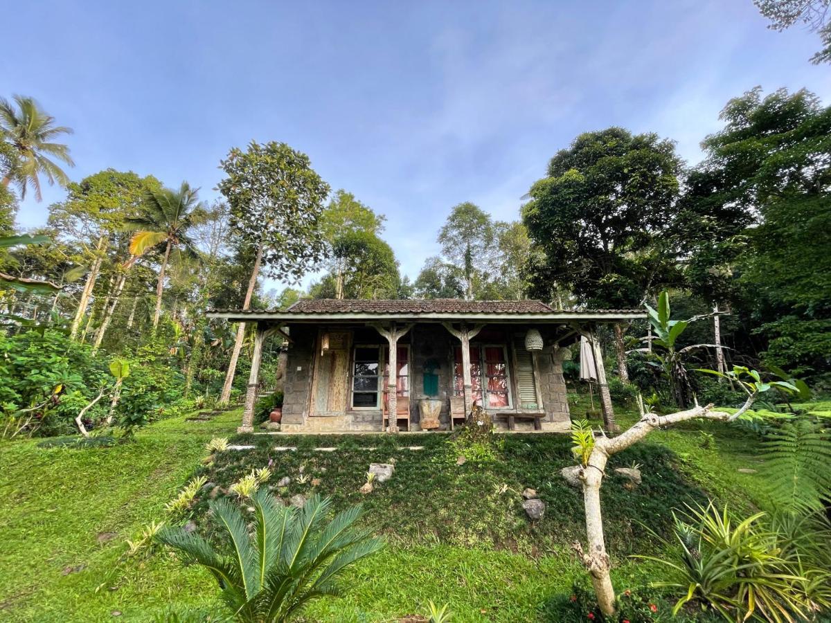 Oemah Tepi Sawah Lodge *