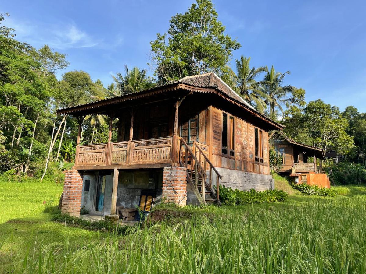 Lodge Oemah Tepi Sawah *