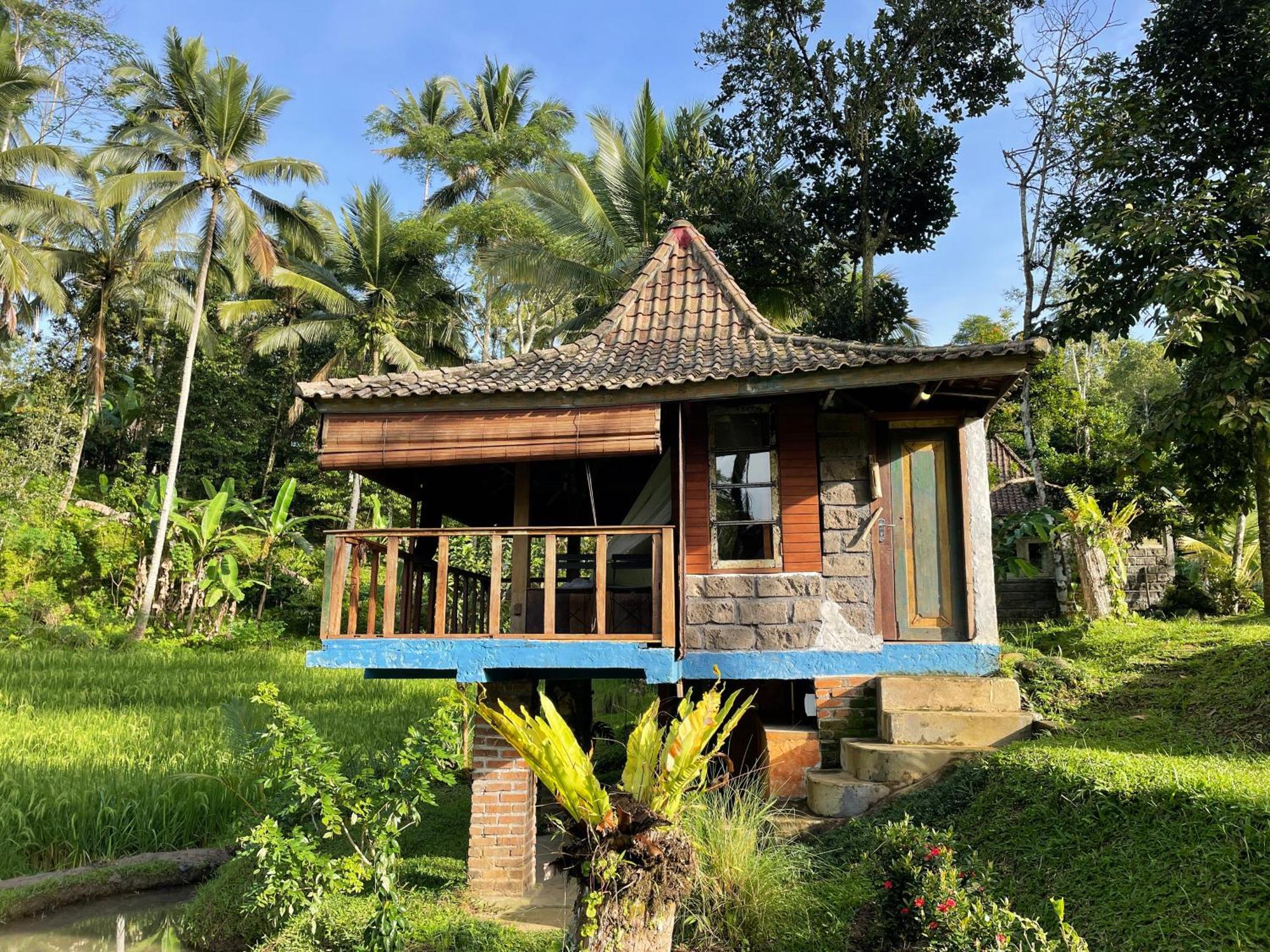 Lodge Oemah Tepi Sawah